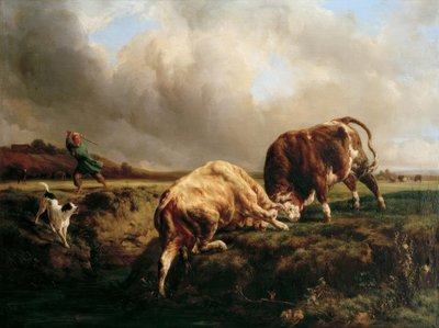 Tyrekamp af Jacques Raymond Brascassat