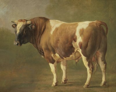 Studie af en Tyr af Jacques Raymond Brascassat