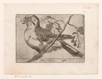 Gaai Gaio (titel på objekt) Vogels (serietitel) af Jacques de Fornazeris (possibly)