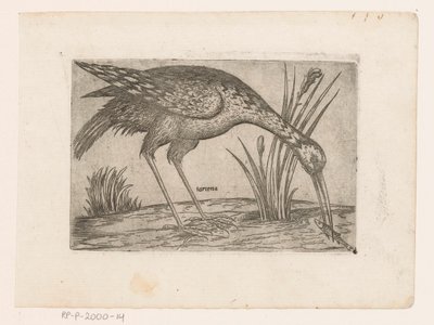 Vogel Tartena (titel på objekt) Vogels (serietitel) af Jacques de Fornazeris (possibly)