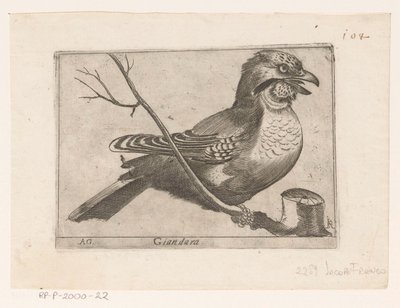 Jay (Garrulus glandarius) Giandara (titel på objekt) Fugle (serietitel) af Jacques de Fornazeris