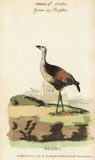 Næste Heron, næste næste af Jacques de Seve