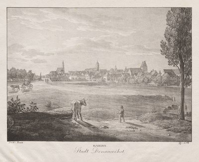 Bayern, by Donauworth af Jakob Alt