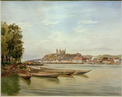 Udsigt over Pressburg af Jakob Alt