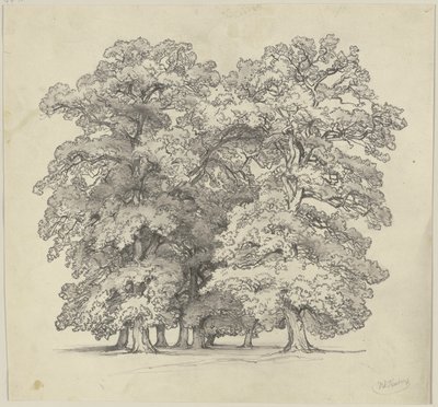  af Jakob Becker