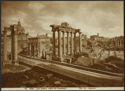Forum Romanum, set fra hovedstaden af James Anderson