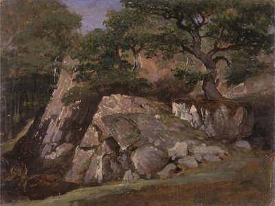 Udsigt over klippedalen ved Mittlach (Alsace) af James Arthur OConnor