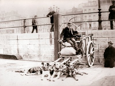 Mand med hundevogn, Antwerpen, 1898. af James Batkin