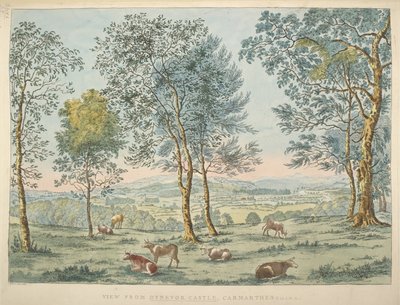 Kort K, Top 46. 35 c Udsigt fra Dynevor Castle, Carmarthen (håndfarvet radering) af James Bretherton