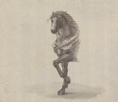 Studie af forsiden af en hest af James Bruce