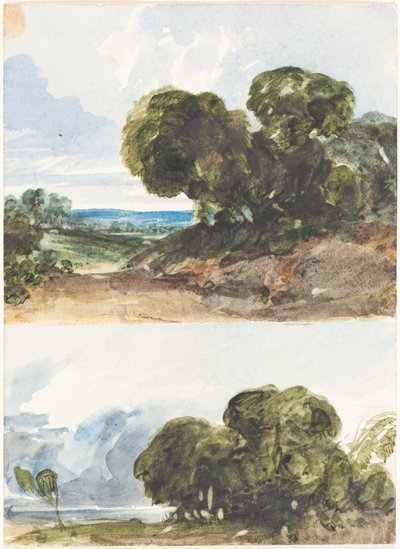 To skitser af træer. af James Bulwer