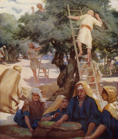 Olivengård af James Clark