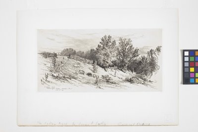 En brakmark (blæk) af James David Smillie