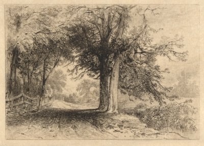 A Farm Lane, januar 1887, opus 2 af James David Smillie