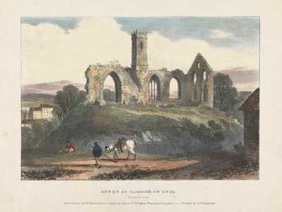 Kloster ved Carrick on Suir af James Duffield Harding