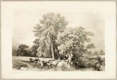 Abele og Eg, fra Parken og Skoven af James Duffield Harding