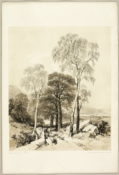 Birk og Eg, fra Parken og Skoven af James Duffield Harding