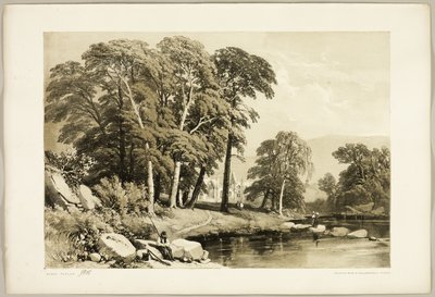 Sort poppel, fra Parken og Skoven af James Duffield Harding