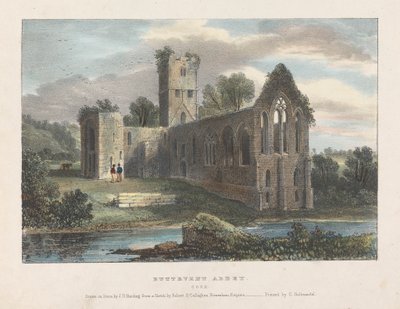 Buttevent Abbey af James Duffield Harding