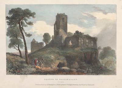 Castle of Ballincolly af James Duffield Harding