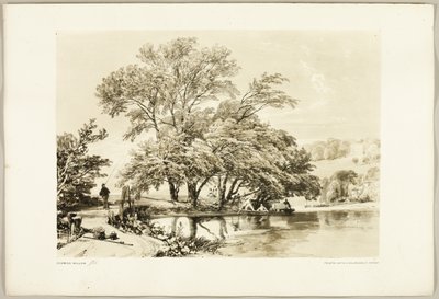 Almindelig pil, fra Parken og Skoven af James Duffield Harding