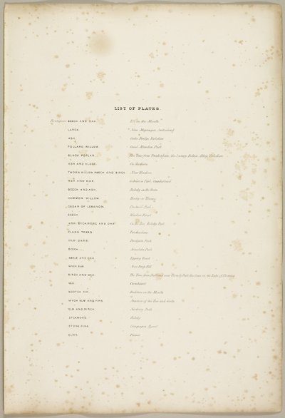 Liste over plader, fra Parken og Skoven af James Duffield Harding