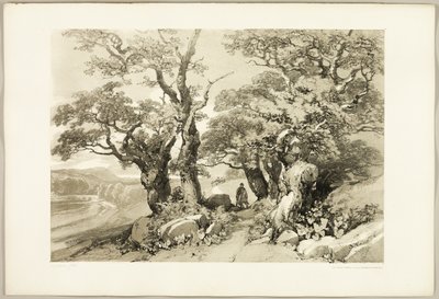 Old Oaks, fra The Park and the Forest af James Duffield Harding