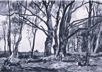 Pollard Willows in Windsor meadows, Nature in Britain udgivet af Collins af James Duffield Harding