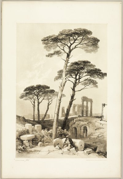 Stone Pines, fra Parken og Skoven af James Duffield Harding