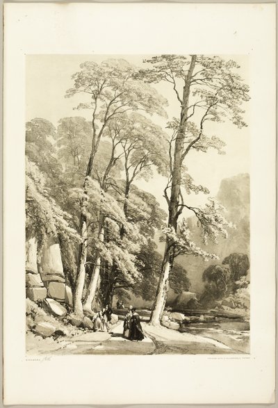 Sycamore, fra parken og skoven af James Duffield Harding