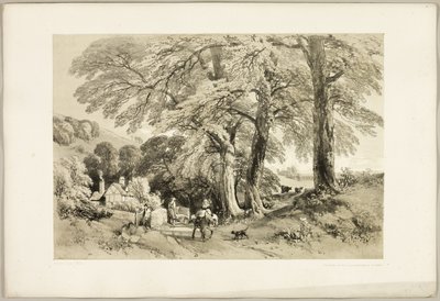 Wych Elm, fra The Park and the Forest af James Duffield Harding