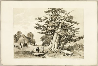 Taks, fra Parken og Skoven af James Duffield Harding