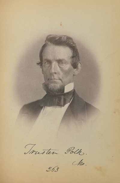 Trusten Polk af James Earle McClees