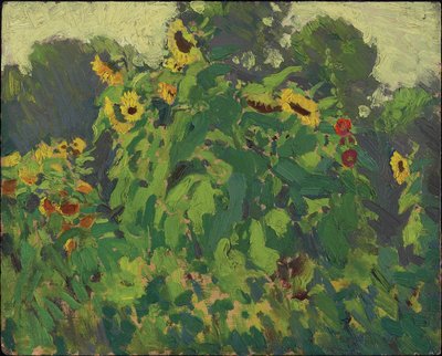 Solsikker, Thornhill, 1916 (olie på komposit træ-pulpplade) af James Edward Hervey Macdonald