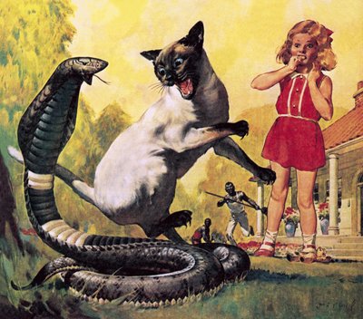 Den modige kat af James Edwin McConnell