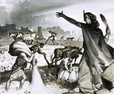 Karthagos storhed og fald: Den romerske forbandelse over Karthago af James Edwin McConnell