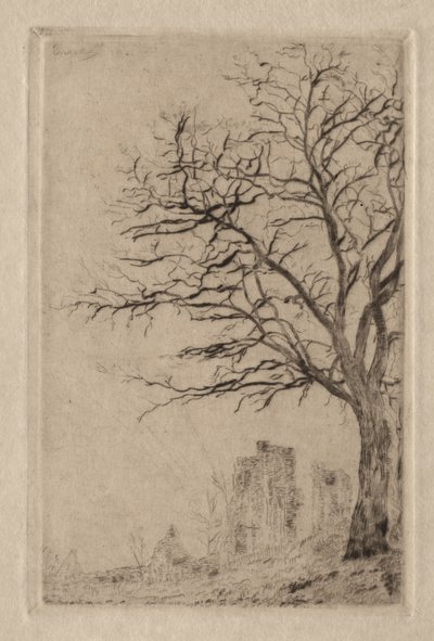 Akacie af James Ensor