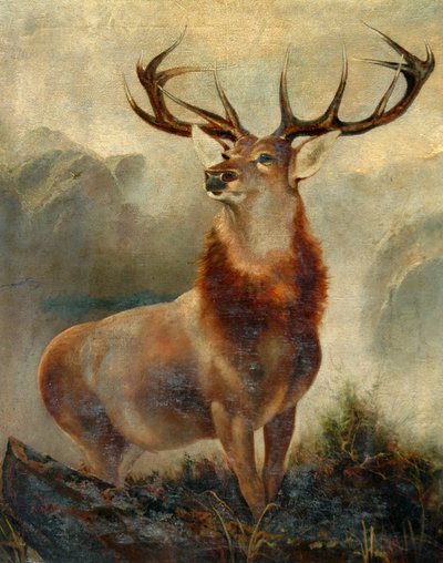 Hjort ved bugten af James Ford