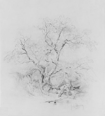 Drengefiskeri af James Goodwyn Clonney