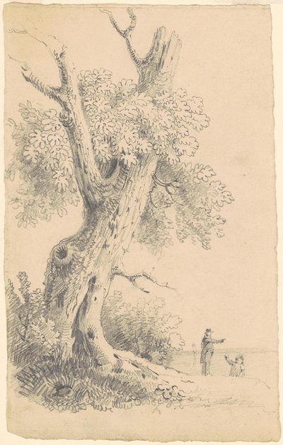 Træ nær kysten af James Goodwyn Clonney