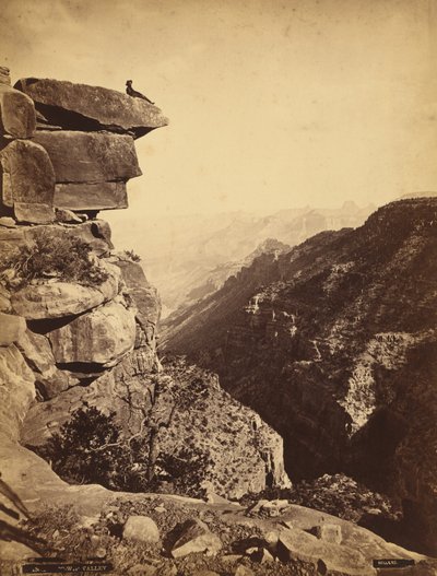 Mukuntuweap Valley (Zion Canyon), Utah af James H. Fennemore