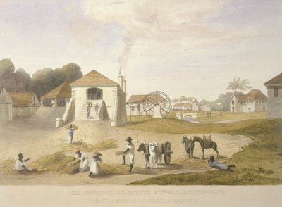 Mølleværft, Holland Estate, St. Thomas i Østen af James Hakewill