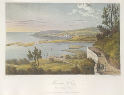 Udsigt over Montego Bay fra Reading Hill, illustration fra 