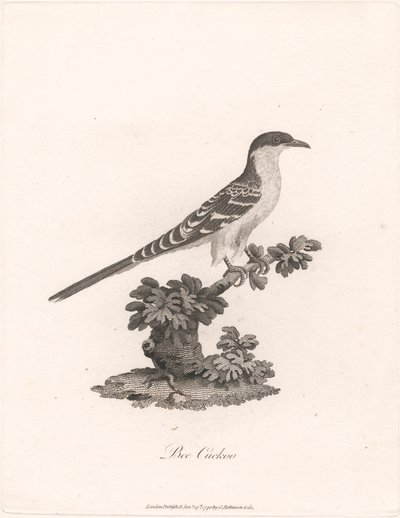 Bee Gøg af James Heath