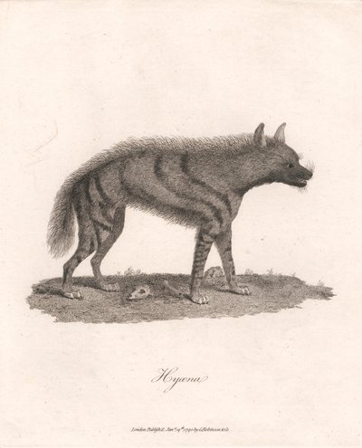 Hyoæne af James Heath