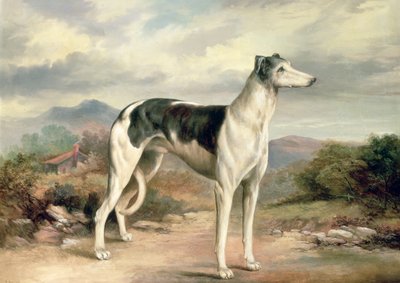 En Greyhound i et bakket landskab af James Henry Beard
