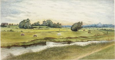 Ryton Meadows (akvarel og kropsfarve på papir) af James Henry Cleet