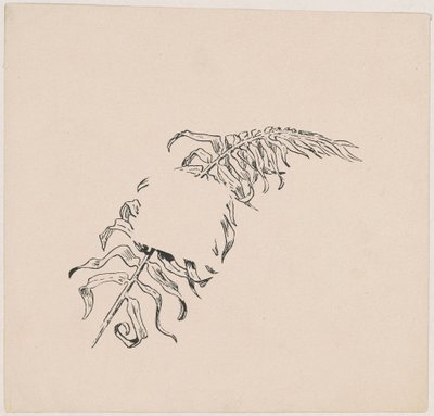 Afdeling af James Henry Moser