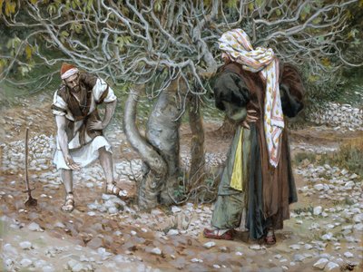 The Barren Fig Tree, illustration til The Life of Christ, ca. 1886-94 (wc & gouache på pap) af James Jacques Joseph Tissot
