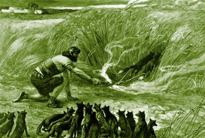 Samson og rævene af J James Tissot - Bibelen af James Jacques Joseph after Tissot